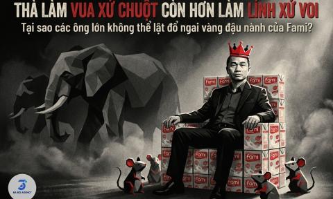Fami (Vinasoy): Bài học về sự kiên định trong thị trường ngách